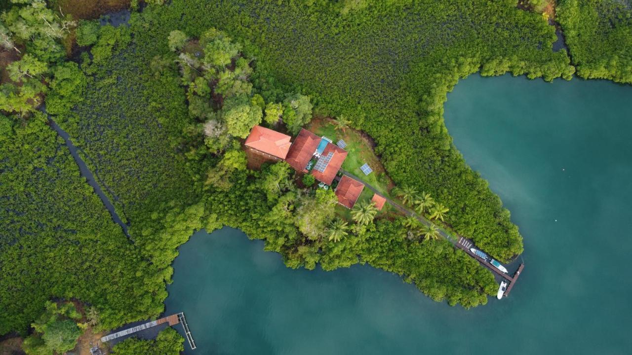 Casa Marlin Bed and Breakfast Bocas del Toro Exteriör bild