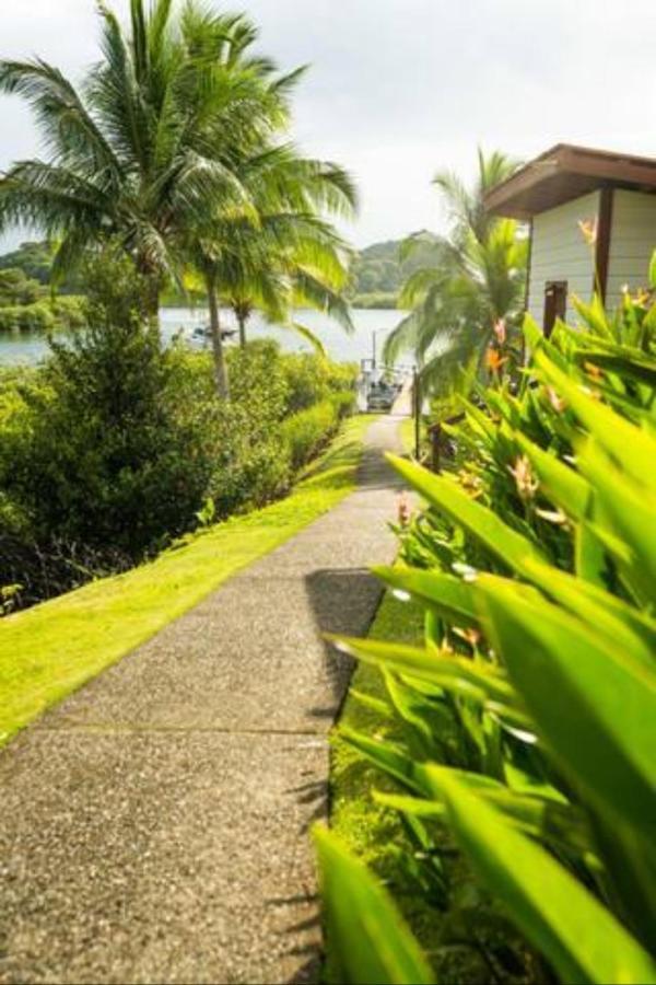 Casa Marlin Bed and Breakfast Bocas del Toro Exteriör bild