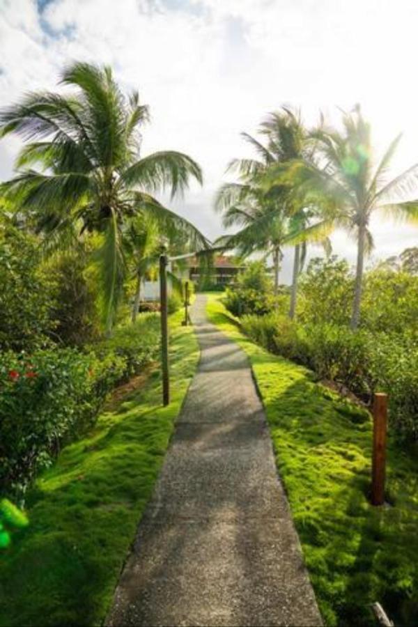 Casa Marlin Bed and Breakfast Bocas del Toro Exteriör bild